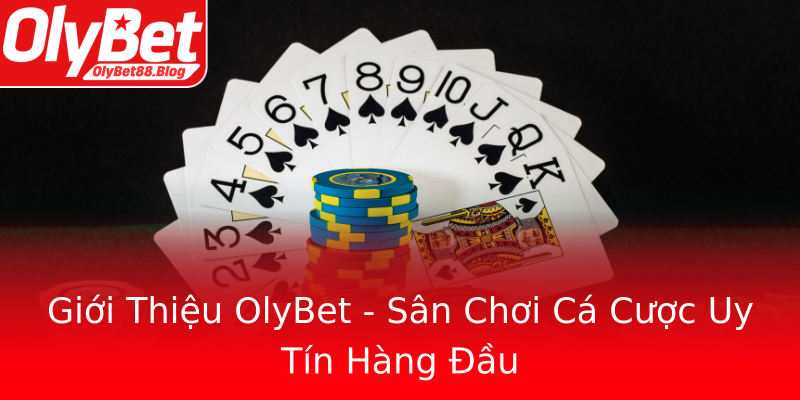 Giới Thiệu OlyBet - Sân Chơi Cá Cược Uy Tín Hàng Đầu