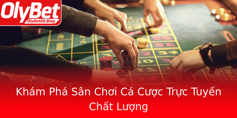 Khám Phá Sân Chơi Cá Cược Trực Tuyến Chất Lượng