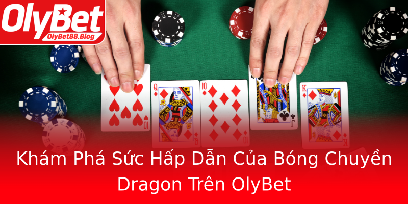 Khám Phá Sức Hấp Dẫn Của Bóng Chuyền Dragon Trên OlyBet