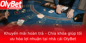 Khuyen Mai Hoan Tra Chia Khoa Giup Toi Uu Hoa Loi Nhuan Tai Nha Cai Olybet