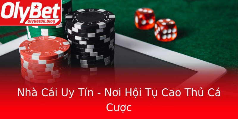 Nhà Cái Uy Tín - Nơi Hội Tụ Cao Thủ Cá Cược