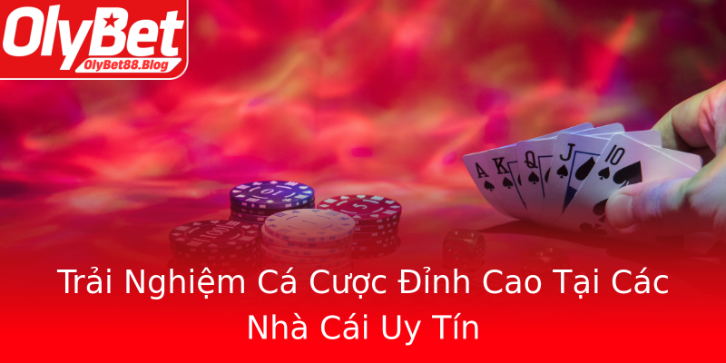 Trải Nghiệm Cá Cược Đỉnh Cao Tại Các Nhà Cái Uy Tín